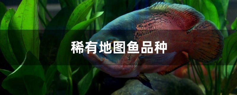 魚缸底砂怎么清理，魚缸底砂怎么清理魚便 其他品牌魚缸