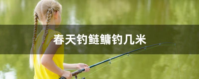 春天釣鰱鳙釣幾米 白化火箭魚