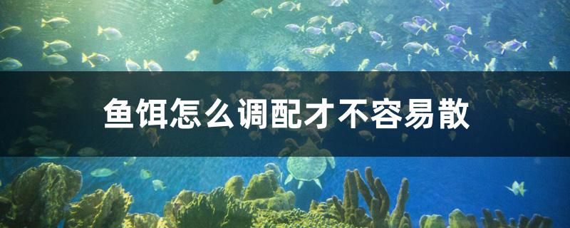 魚餌怎么調(diào)配才不容易散 朱巴利魚苗