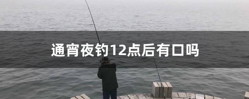 通宵夜釣12點后有口嗎 龍鳳鯉魚