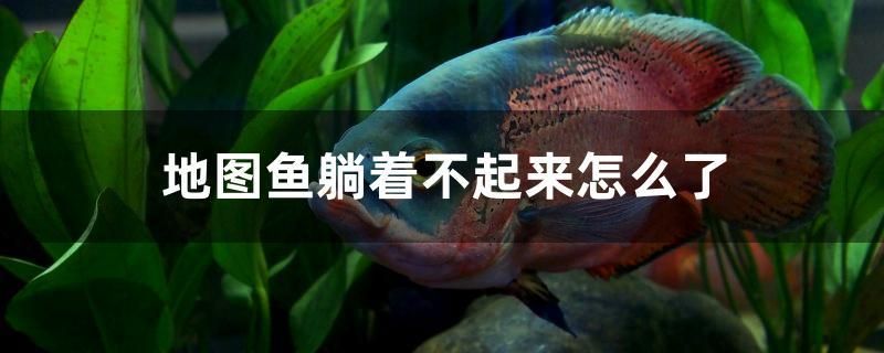 地圖魚躺著不起來怎么了