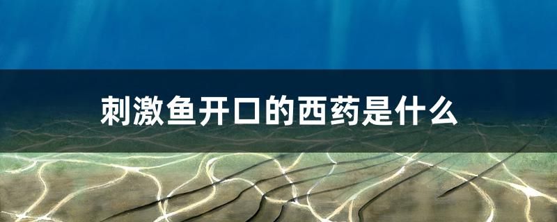 刺激魚開口的西藥是什么