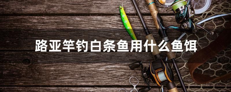 藍底金龍魚圖片大全高清（藍底金龍魚圖片大全高清圖）