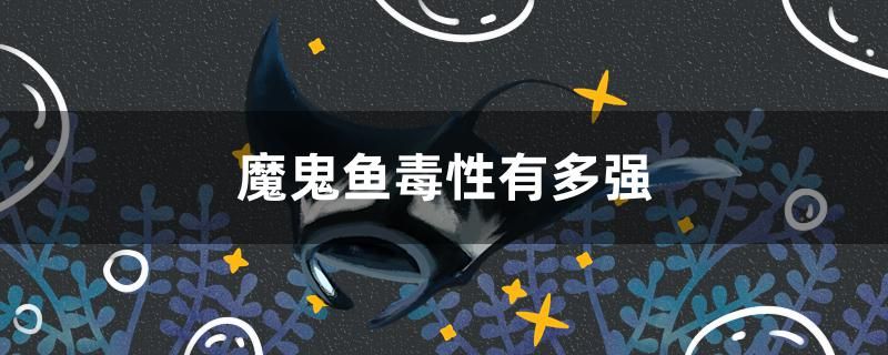 魔鬼魚(yú)毒性有多強(qiáng) 文玩