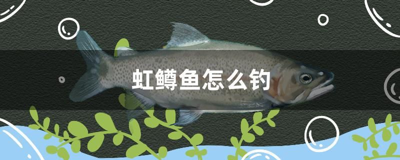 虹鱒魚怎么釣 觀賞魚進(jìn)出口