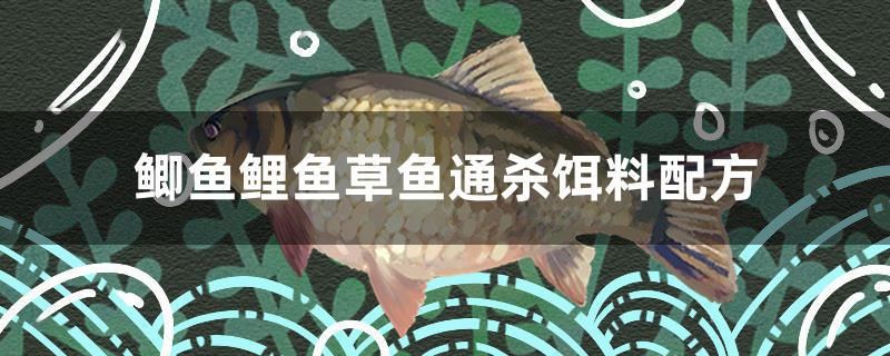 鯽魚(yú)鯉魚(yú)草魚(yú)通殺餌料配方 赤焰中國(guó)虎魚(yú)