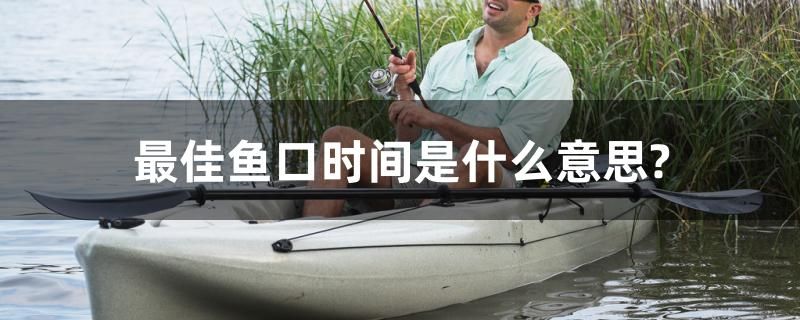 最佳魚口時間是什么意思？