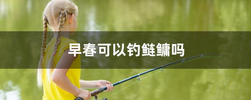 早春可以釣鰱鳙嗎 白子銀龍魚苗