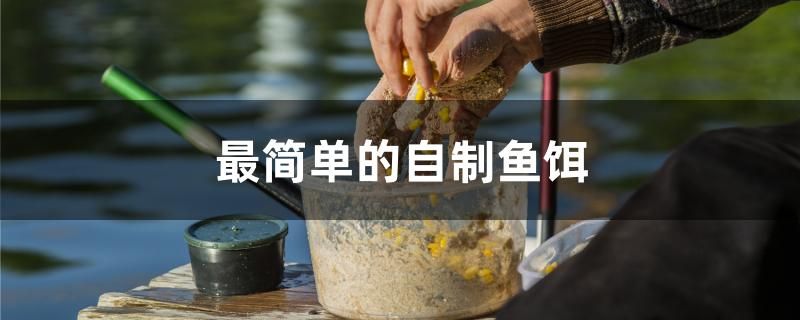 最簡(jiǎn)單的自制魚餌