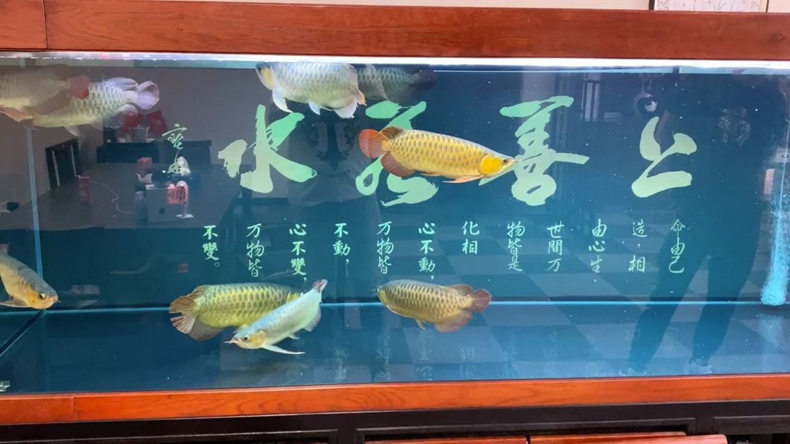 海缸！ 觀賞魚論壇