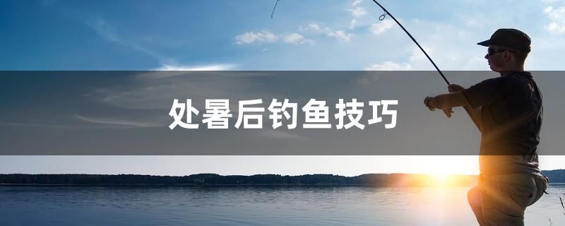 處暑后釣魚技巧 白寫錦鯉魚