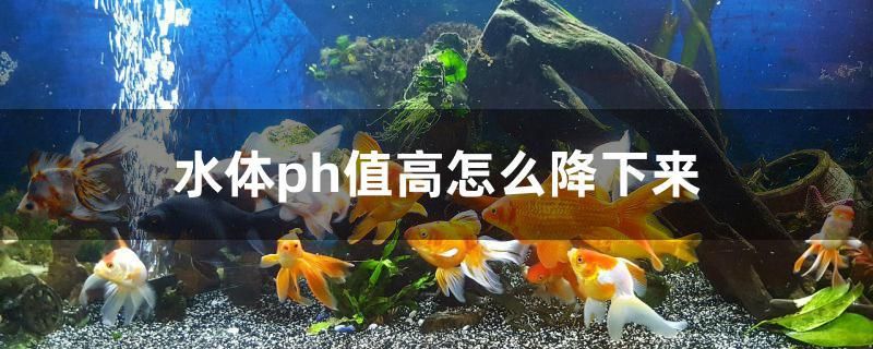 水體ph值高怎么降下來