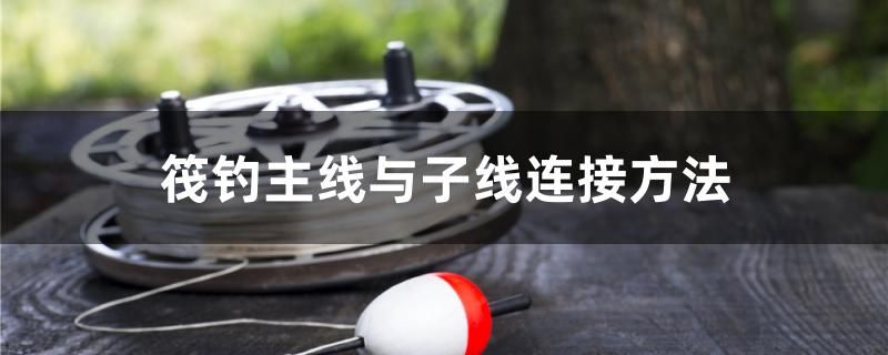 筏釣主線與子線連接方法 定時器/自控系統(tǒng)