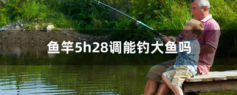 魚竿5h28調能釣大魚嗎