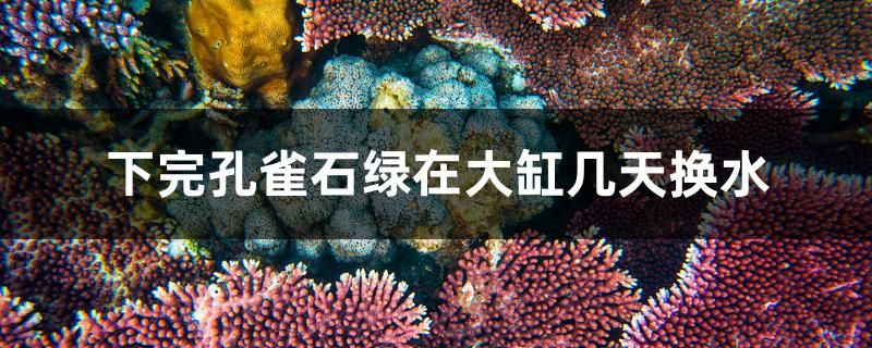 下完孔雀石綠在大缸幾天換水 圣菲埃及魚