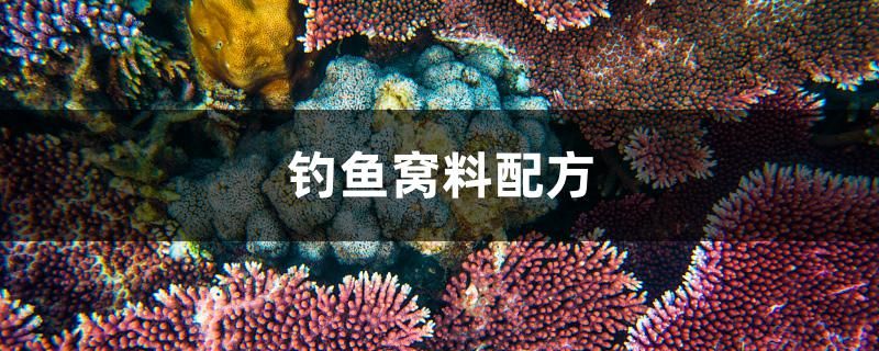 釣魚窩料配方 養(yǎng)魚知識