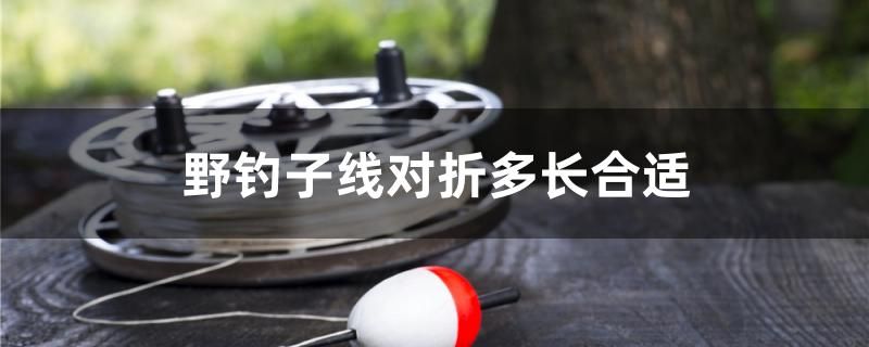 野釣子線對(duì)折多長(zhǎng)合適 過濾設(shè)備