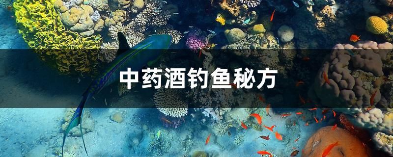 中藥酒釣魚秘方 魟魚百科