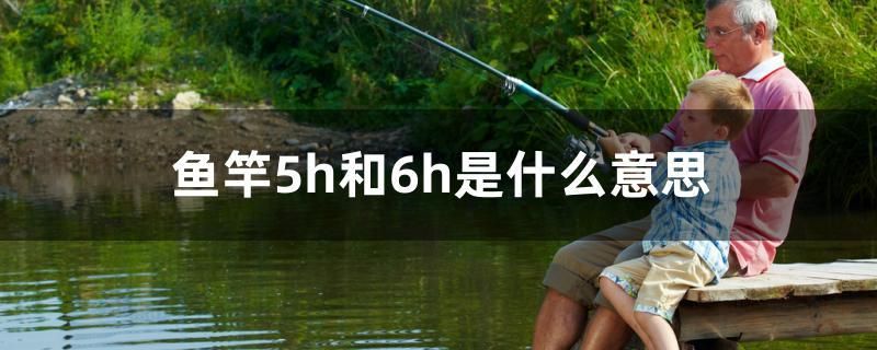 魚竿5h和6h是什么意思