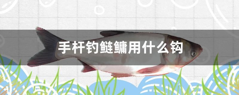 手桿釣鰱鳙用什么鉤 魚缸等水族設(shè)備