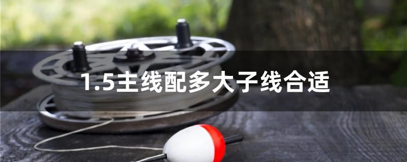 1.5主線配多大子線合適