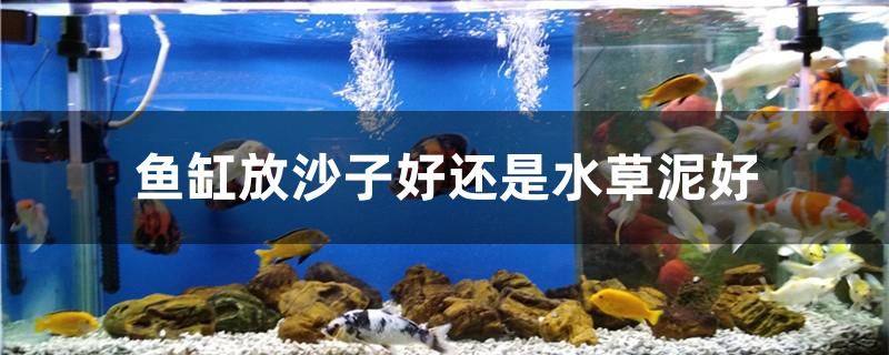 魚(yú)缸放沙子好還是水草泥好