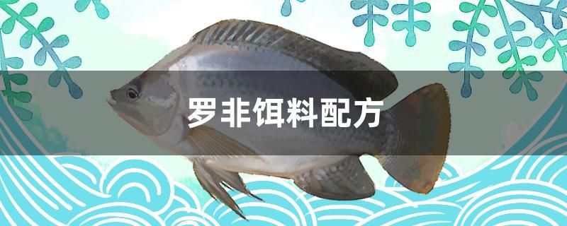 羅非餌料配方 泰國虎魚