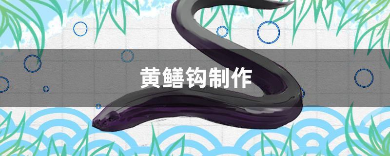 黃鱔鉤制作 斑馬狗頭魚