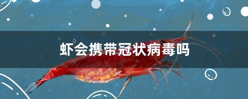 蝦會攜帶冠狀病毒嗎 森森魚缸