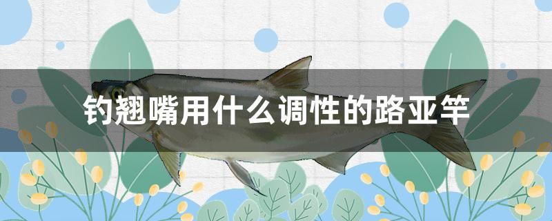 釣翹嘴用什么調(diào)性的路亞竿