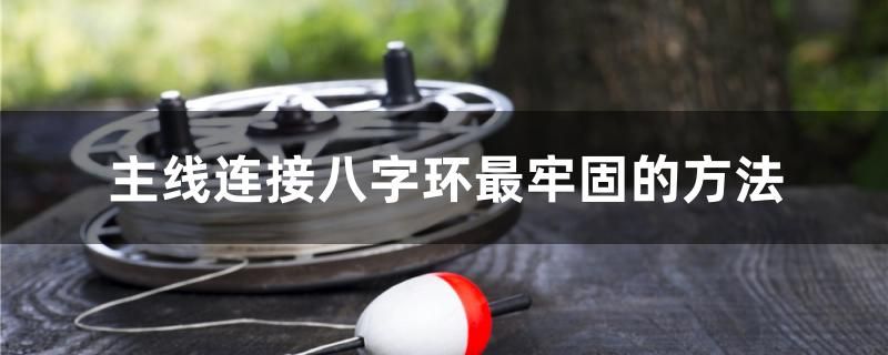 主線連接八字環(huán)最牢固的方法 速倍妥魚糧魚藥