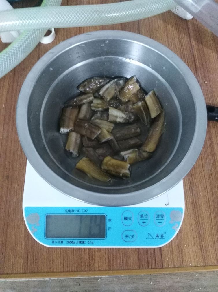 龍魚，喂熟食測試 觀賞魚論壇