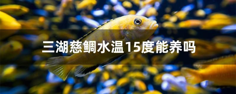 盤(pán)錦魚(yú)缸定做廠(chǎng)家電話(huà)號(hào)碼多少錢(qián)（盤(pán)錦哪里賣(mài)魚(yú)缸） 祥龍傳奇品牌魚(yú)缸