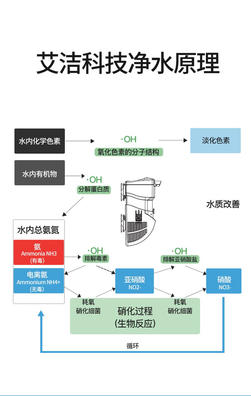 新品上市丨OF淡水艾潔凈水器 觀賞魚論壇 第2張