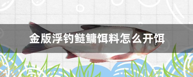 金版浮釣鰱鳙餌料怎么開餌