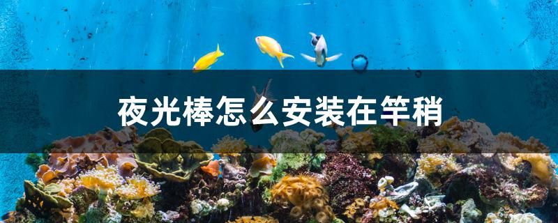 夜光棒怎么安裝在竿稍 細(xì)線銀板魚苗