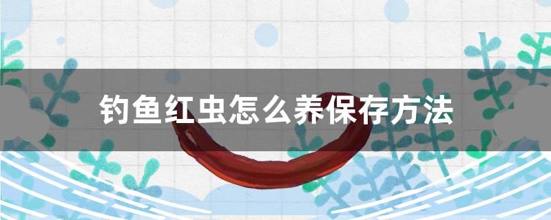 釣魚紅蟲怎么養(yǎng)保存方法 祥龍傳奇品牌魚缸