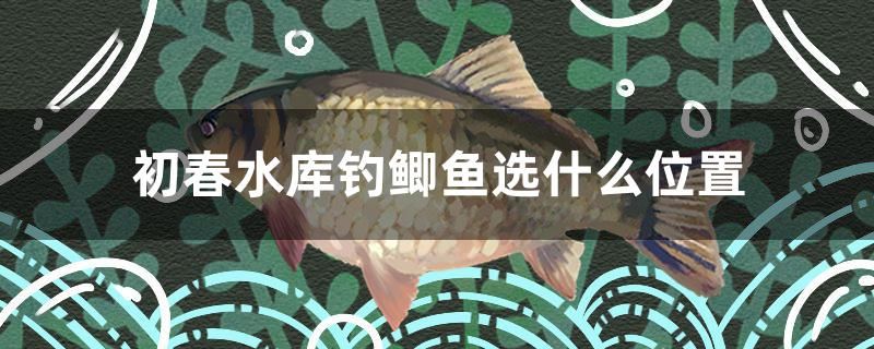 初春水庫(kù)釣鯽魚(yú)選什么位置