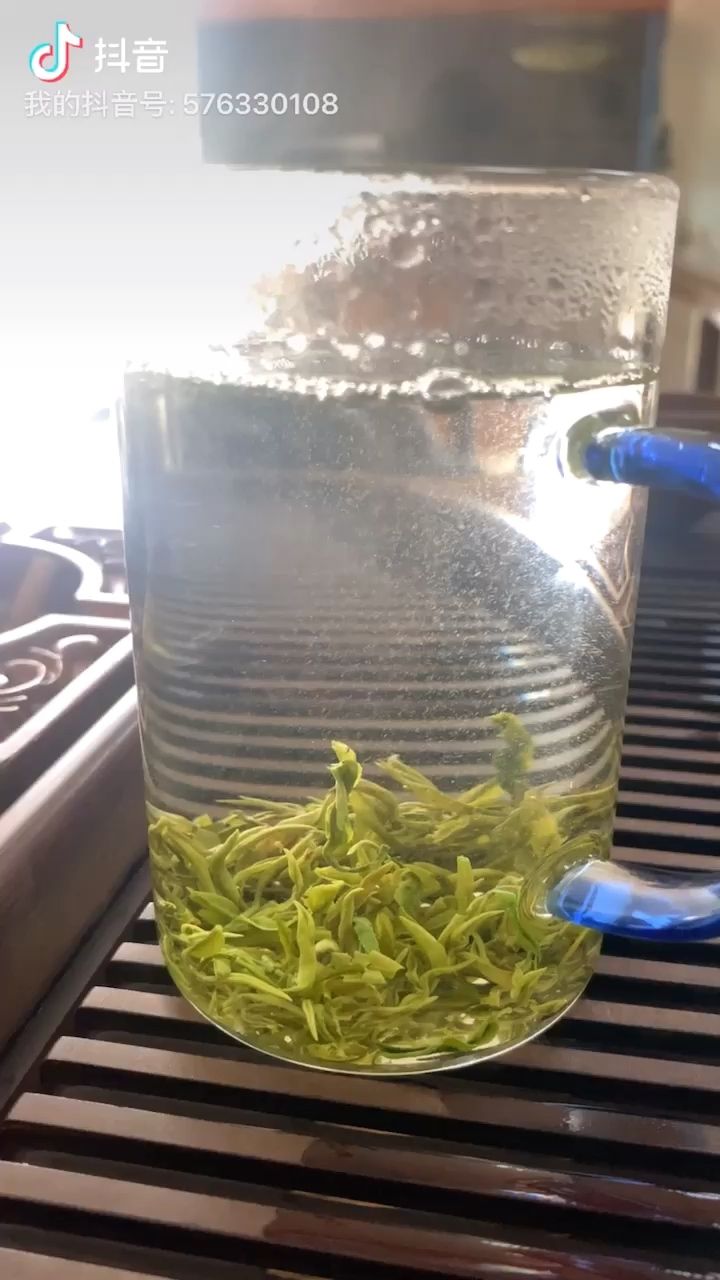 喝茶和玩魚，真是絕配，再放上一首七里香，感覺都在過退休生活了?? 觀賞魚論壇