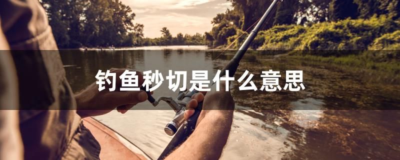 釣魚秒切是什么意思 眼斑魚