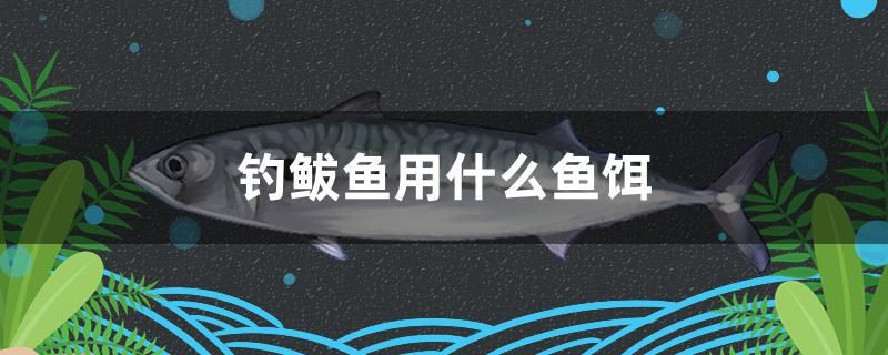 釣鲅魚用什么魚餌 麥肯斯銀版魚