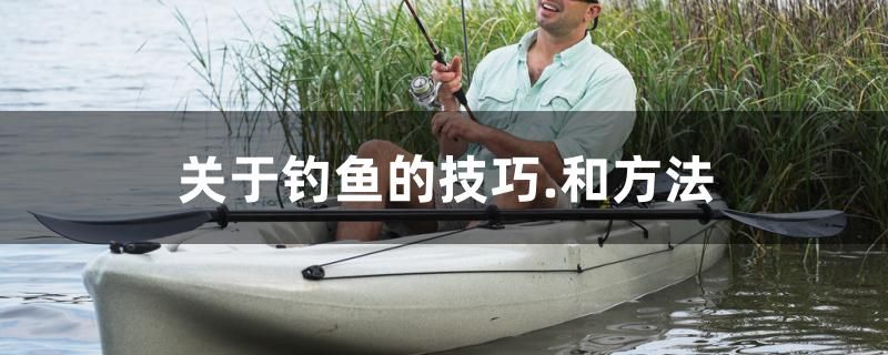 株洲魚(yú)缸回收公司在哪里（株洲觀(guān)賞魚(yú)批發(fā)市場(chǎng)） 水族燈（魚(yú)缸燈）