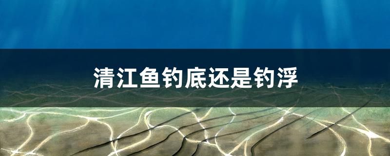 清江魚釣底還是釣浮 2024第28屆中國國際寵物水族展覽會CIPS（長城寵物展2024 CIPS）