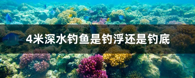 4米深水釣魚是釣浮還是釣底