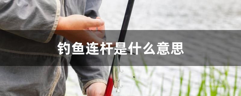 釣魚連桿是什么意思