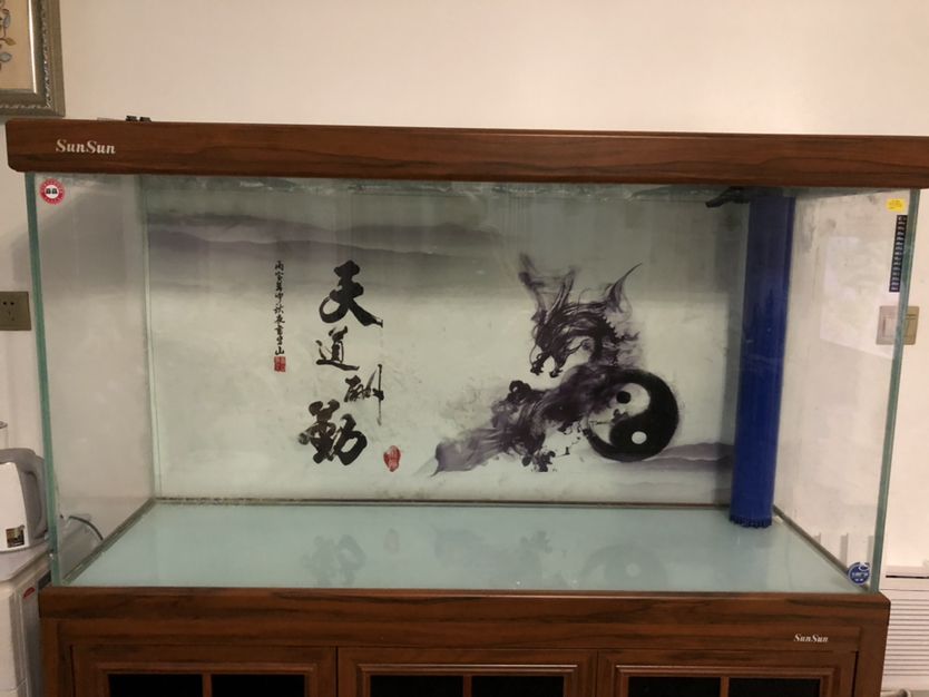 嘉興魚缸哪里買便宜又好看又實(shí)惠（嘉興魚缸批發(fā)市場）