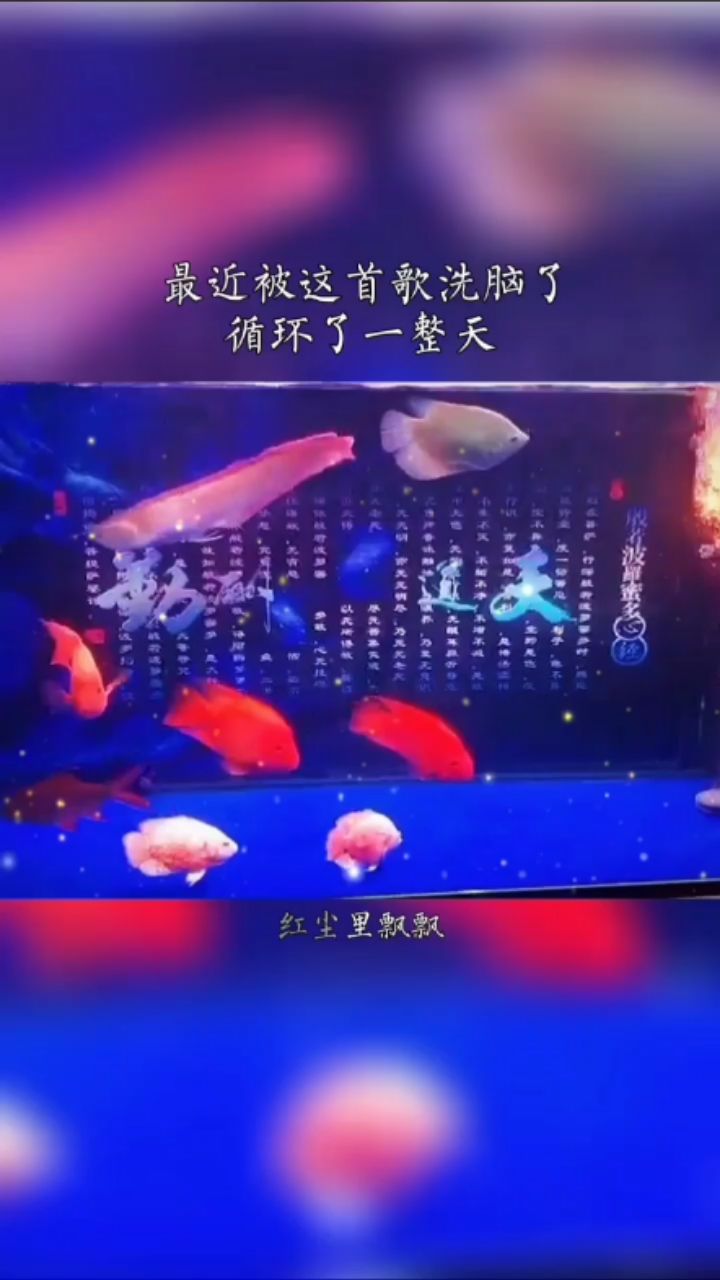 我也曬曬魚 觀賞魚論壇 第1張