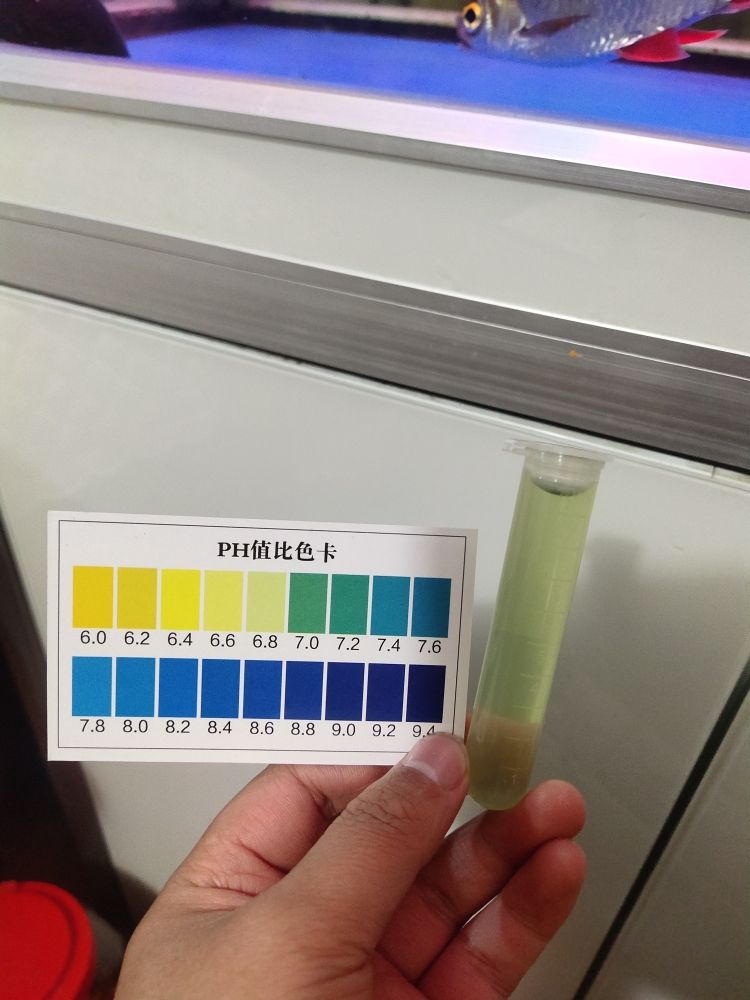 今天再測(cè)水質(zhì)！ 觀賞魚(yú)論壇 第1張