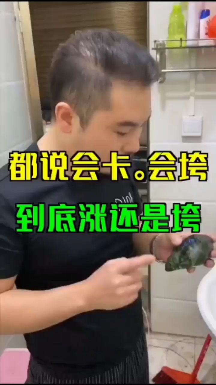 翡翠原石定制%知識文化！ 觀賞魚論壇