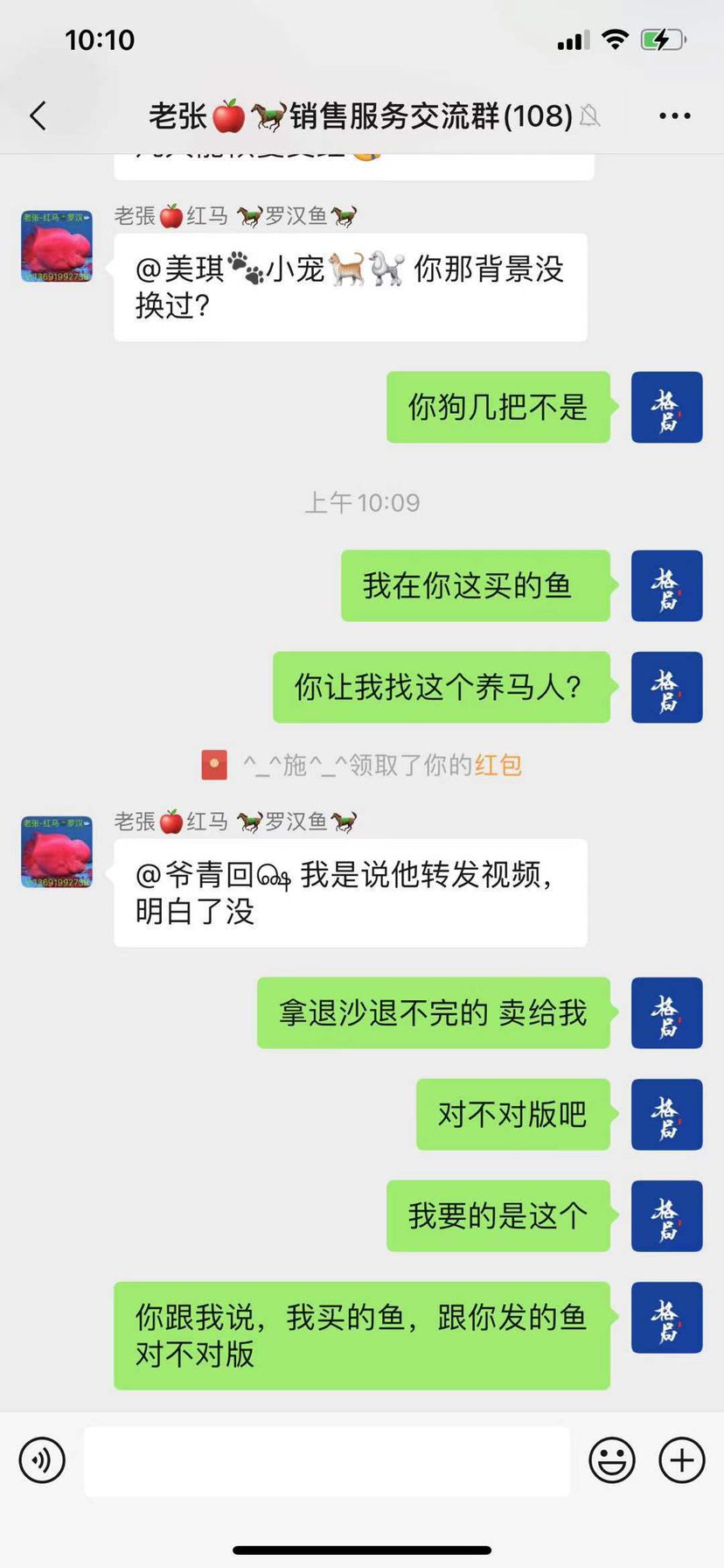 曝光鴻尚～老張紅馬～養(yǎng)馬人這些黑魚商 觀賞魚論壇 第3張